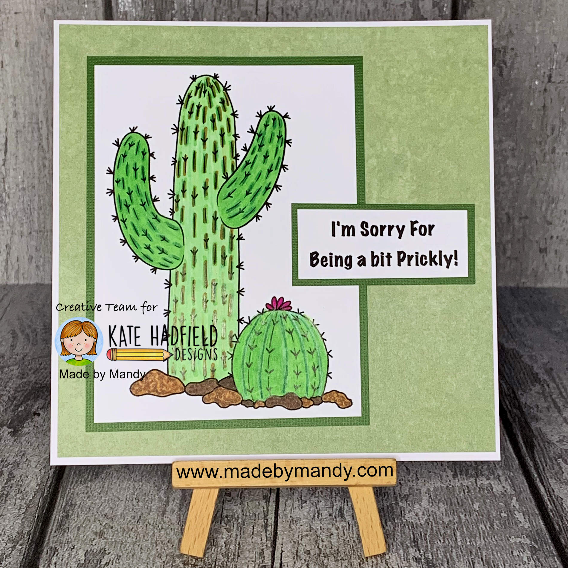 Prickly Cacti by Made By Mandy Prickly Cacti